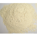 Good Quality Dehydrated Garlic Powder for Sale